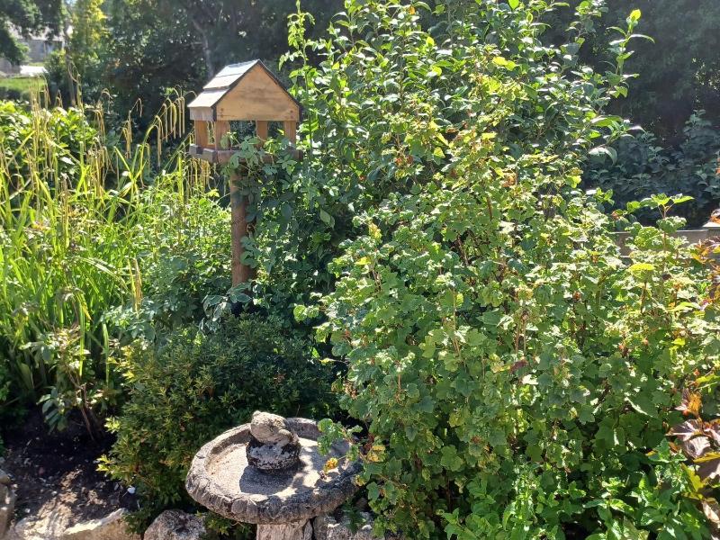 Woodbine Cottage - image 24
