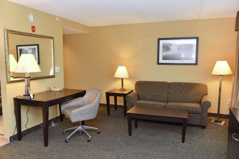 King Studio with Sofa Bed - Non-Smoking image 4