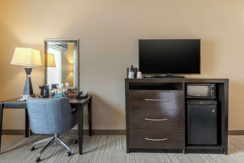 King Studio Suite with Sofa Bed - Non-Smoking image 3