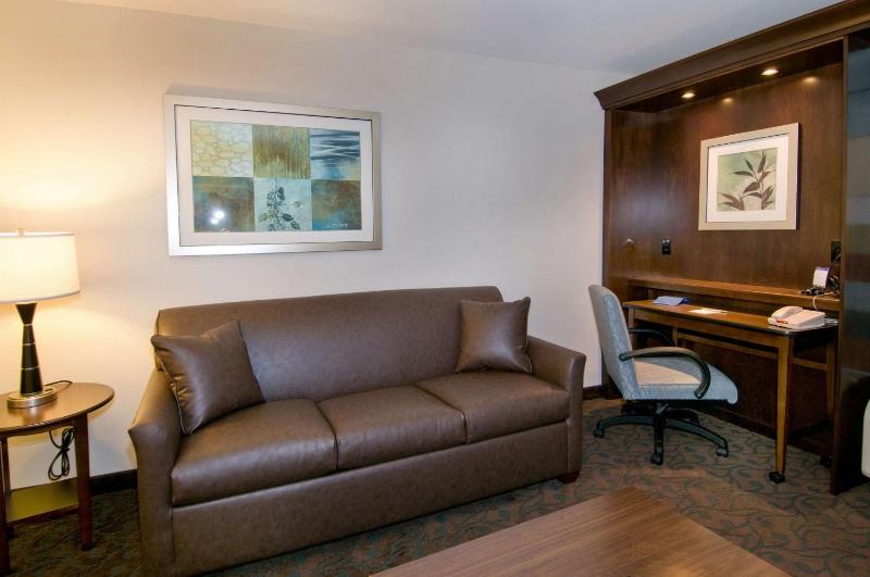 King Studio Suite with Sofa Bed - Non-Smoking image 1