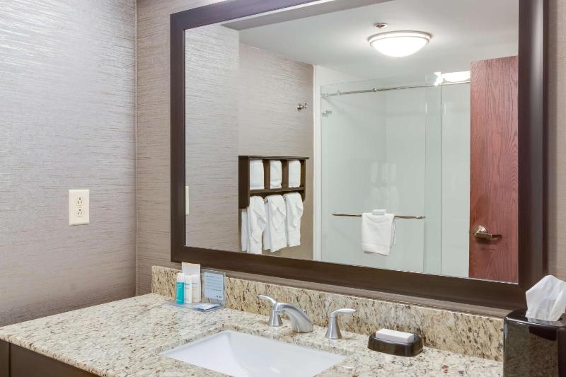 One King Shower only with Wet bar Non-Smoking image 3