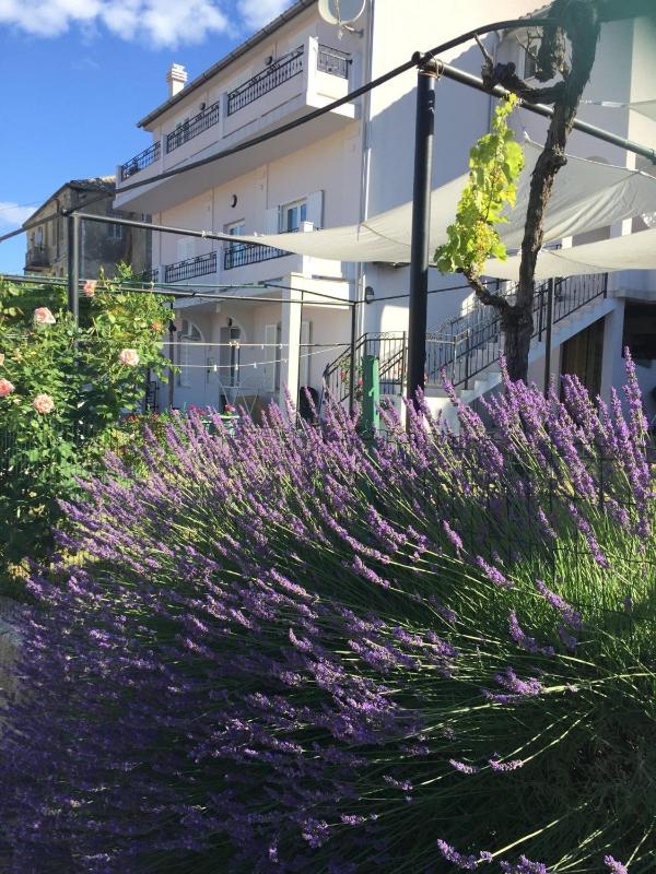 Apartments Maja - image 14
