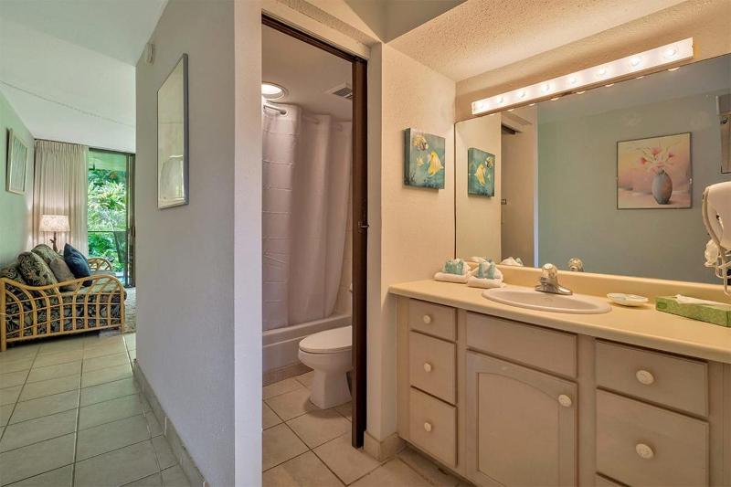 One-Bedroom Apartment image 4