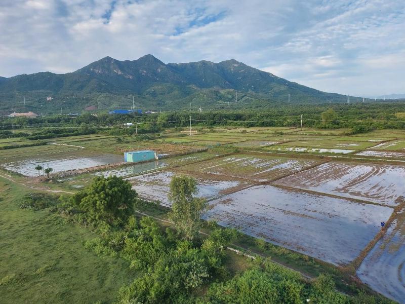 Khách sạn Thiên Minh - Dốc Lết - image 38