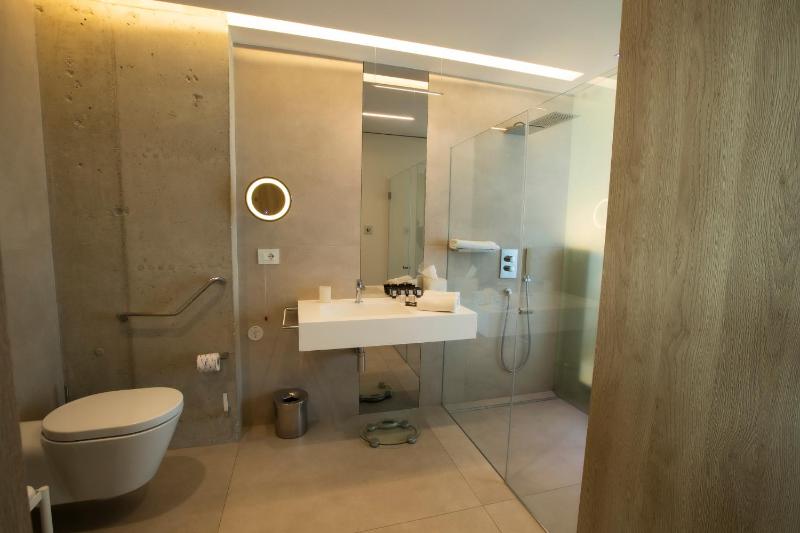 Deluxe Large Double Room with Mini Pool image 2