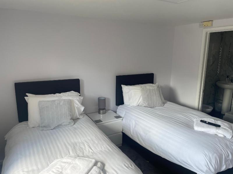 Deluxe Twin Room image 1
