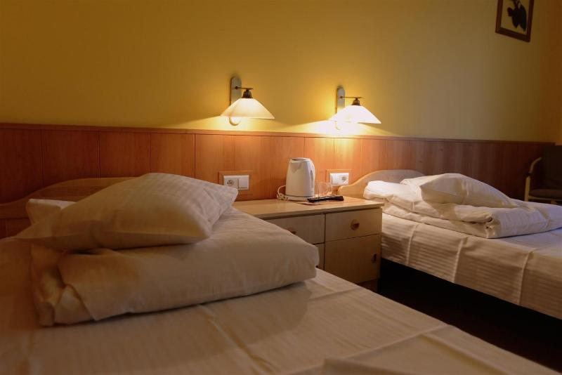 Superior Twin Room image 3
