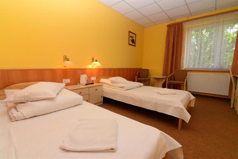 Superior Twin Room image 4