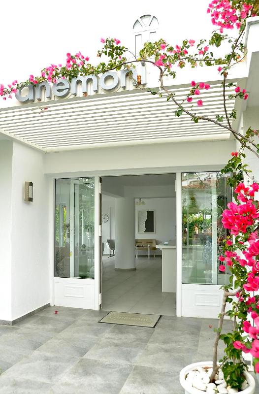 Anemoni Beach Hotel - image 1