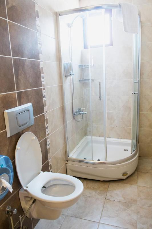 Cicerone Lodge Hotel - image 12