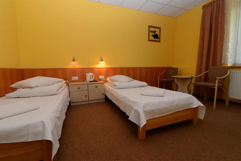Superior Twin Room image 2