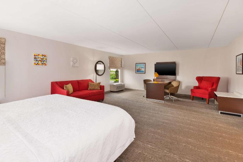 King Suite - Non-Smoking image 4