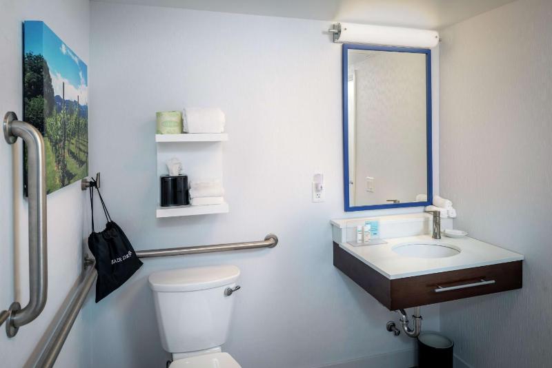 King Room with Roll-In Shower - Mobility Access/Non-Smoking image 3