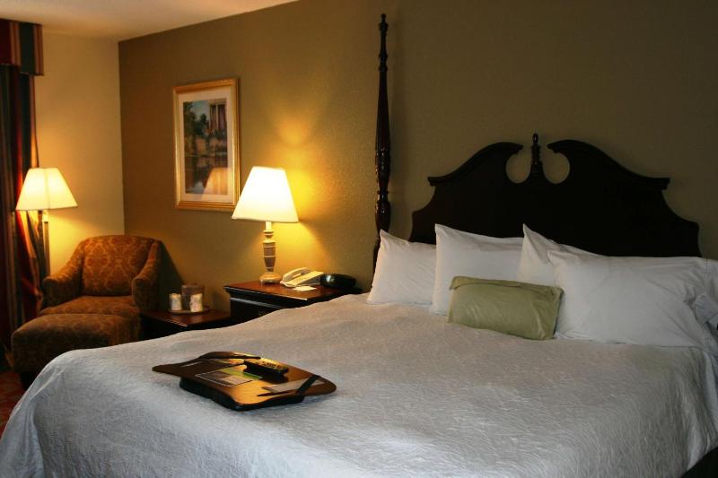 King Room with Sofa Bed - Non-Smoking image 3