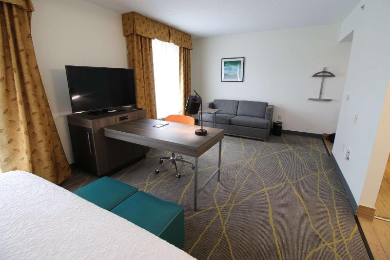 King Studio Suite with Sofa Bed - Non-Smoking image 3