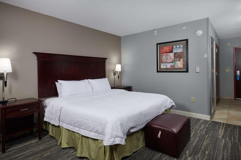King Room with King Bed - Non-Smoking image 3