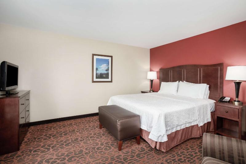 King Room with King Bed - Non-Smoking image 3