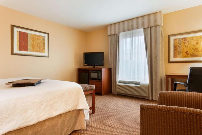 King Studio Suite with Sofa Bed - Non-Smoking image 3