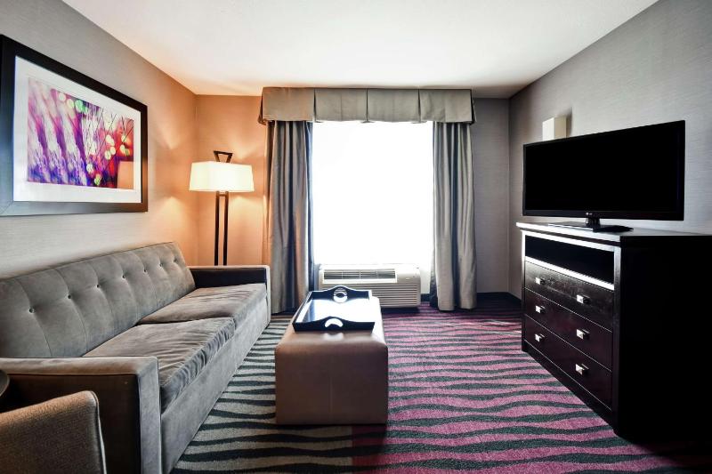 One-Bedroom King Suite - Non-Smoking image 3