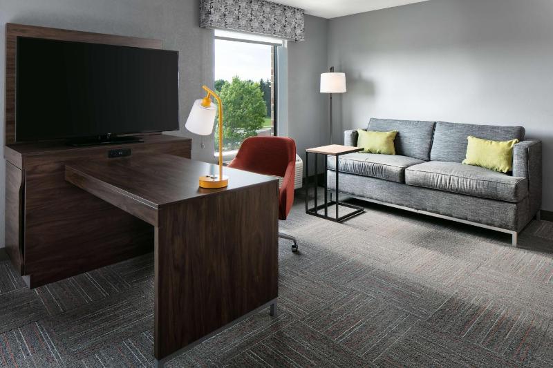 King Studio Suite with Sofa Bed - Non-Smoking image 3