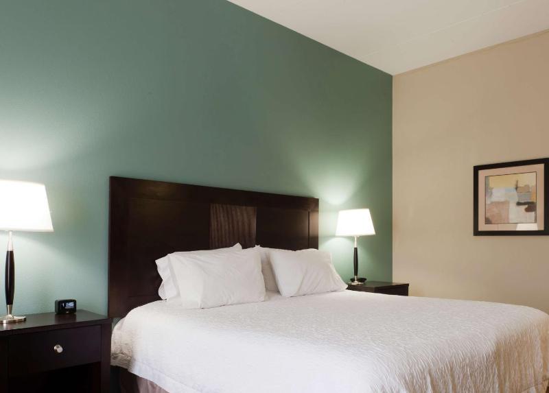 King Room with King Bed - Non-Smoking image 3