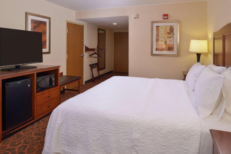 King Room with Accessible Tub - Mobility and Hearing Access/Non-Smoking image 4