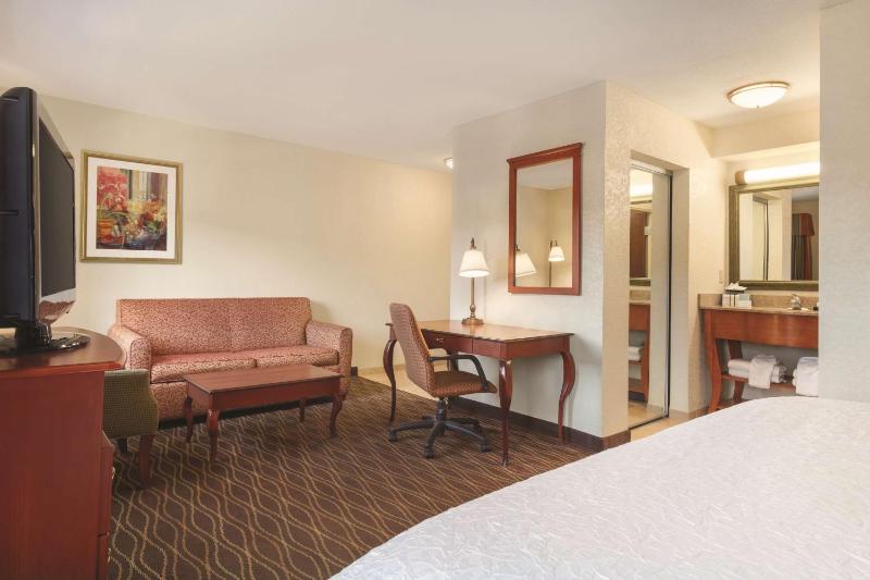 King Studio Suite - Non-Smoking image 4