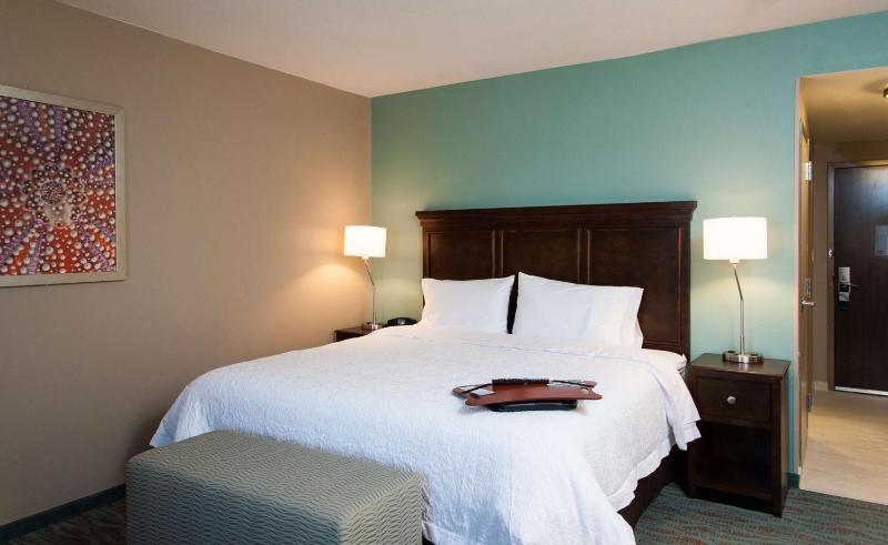 King Room with Roll-In Shower - Mobility and Hearing Access/Non-Smoking image 2