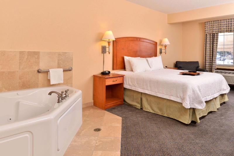 King Studio Suite with Whirlpool - Non-Smoking image 3