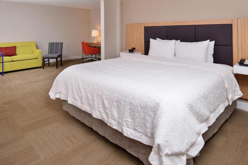 Business King Suite with Sofa Bed - Non-Smoking image 4
