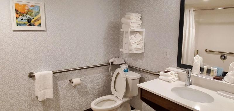 King Room with Bath Tub - Mobility and Hearing Access image 2