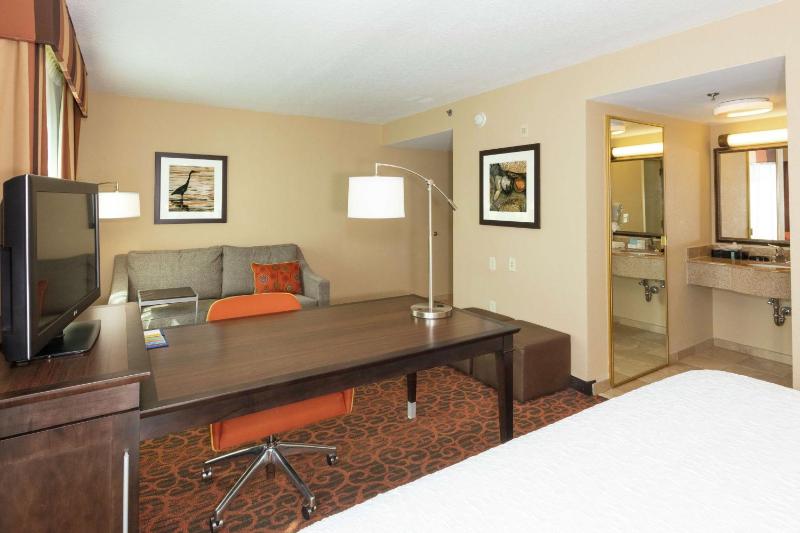 King Studio Suite with Sofa Bed - Non-Smoking image 4