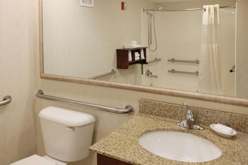 King Room with Accessible Tub - Mobility and Hearing Access/Non-Smoking image 2