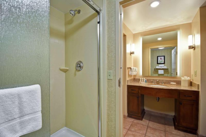 One-Bedroom King Suite - Non-Smoking image 2