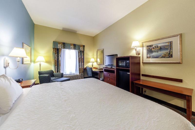 King Room - Non-Smoking image 4