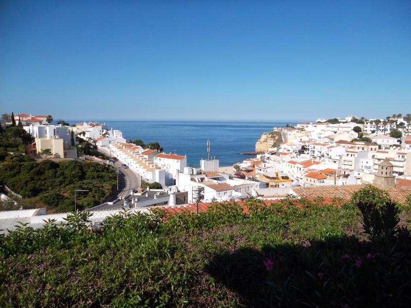 Monte Dourado - image 16