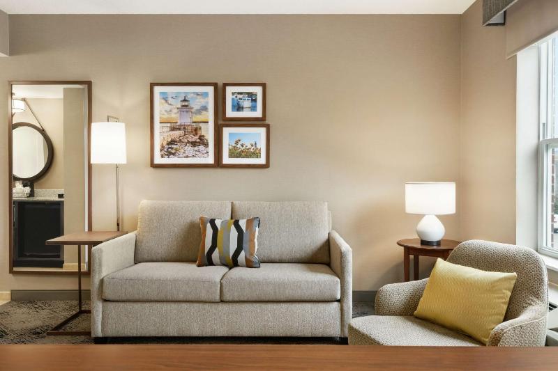 King Studio Suite image 3