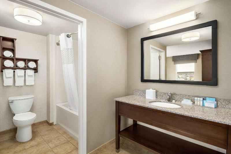 King Studio Suite image 2