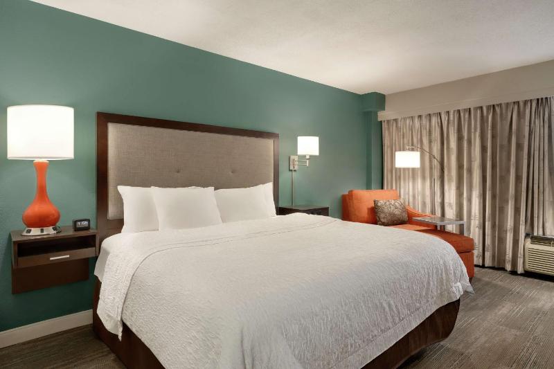 King Room with Microwave and Refrigerator image 3
