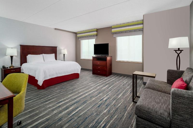 King Studio Suite image 4