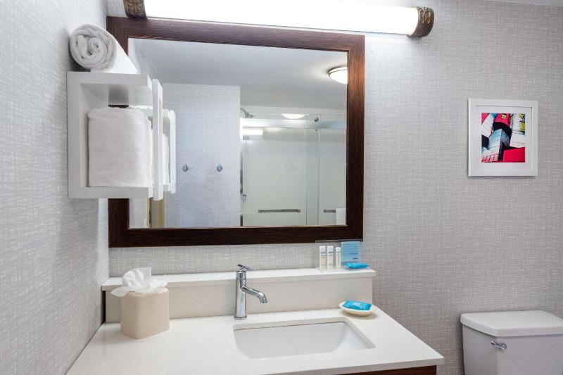 King Studio Suite image 2