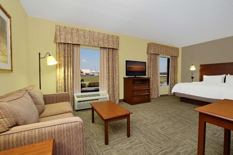 King Studio Suite with Sofa Bed - Non-Smoking image 4