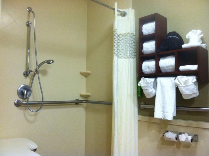 Double Room with Roll-In Shower - Mobility and Hearing Accessible/Non-Smoking image 4