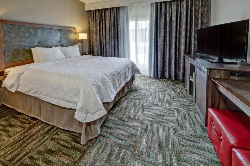 One-Bedroom King Suite with Sofa Bed - Non-Smoking image 4