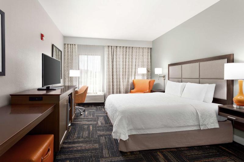 King Room with Roll-In Shower - Mobility Access/Non-Smoking image 1