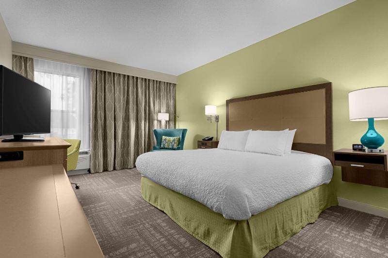 King Room - Non-Smoking image 1