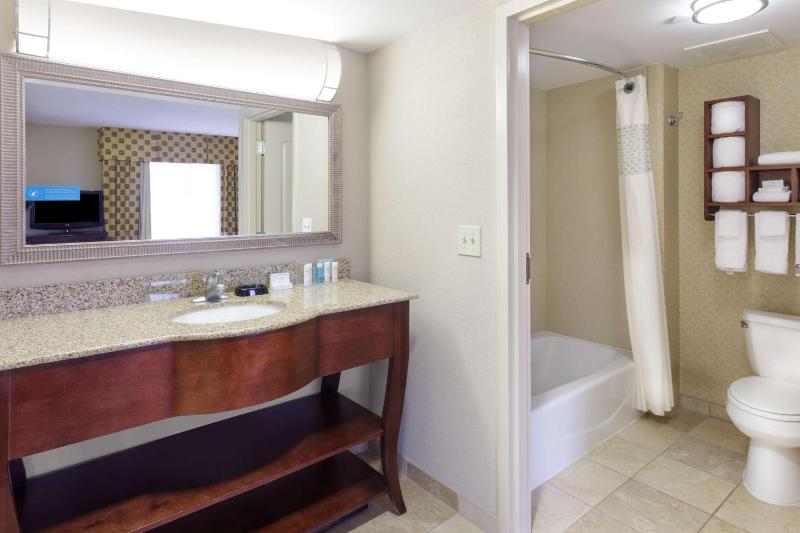 King Studio Suite - Non-Smoking image 2