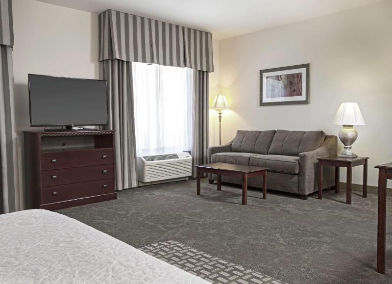 King Studio Suite with Sofa Bed - Non-Smoking image 4
