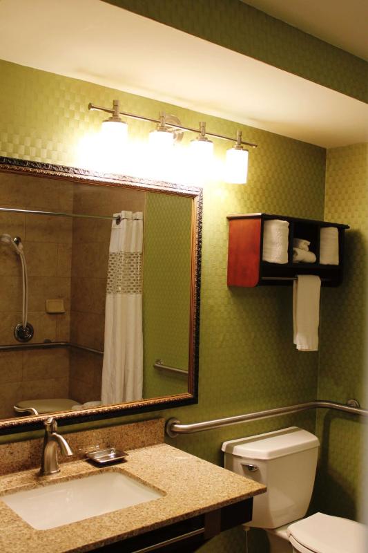 King Room with Roll-In Shower - Mobility Access/Non-Smoking image 3
