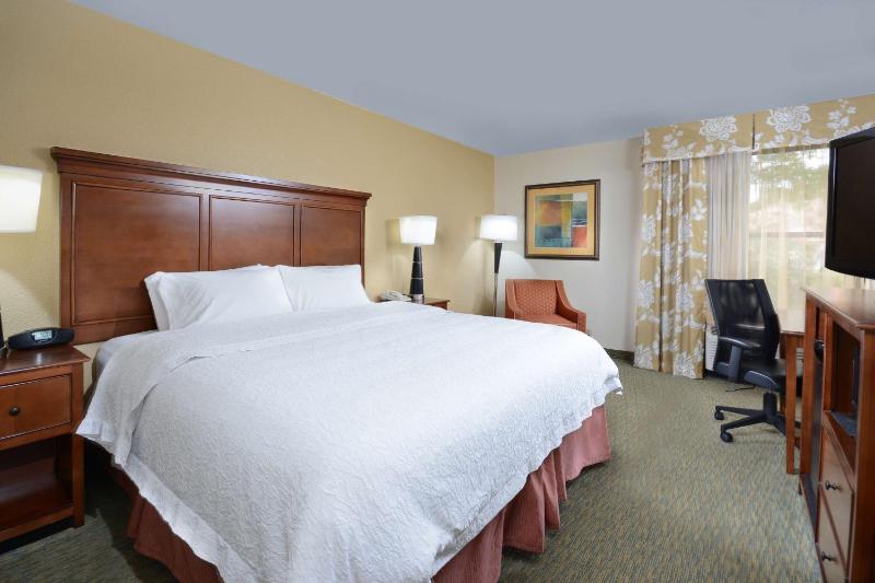 King Room - Non-Smoking image 1
